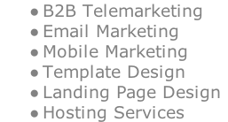 B2B Telemarketing Email Marketing Mobile Marketing Template Design Landing Page Design Hosting Services